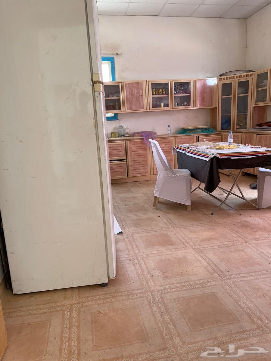 ابغى مكتب ياجربيت في قرية الحلاة مفروش64598327316738114