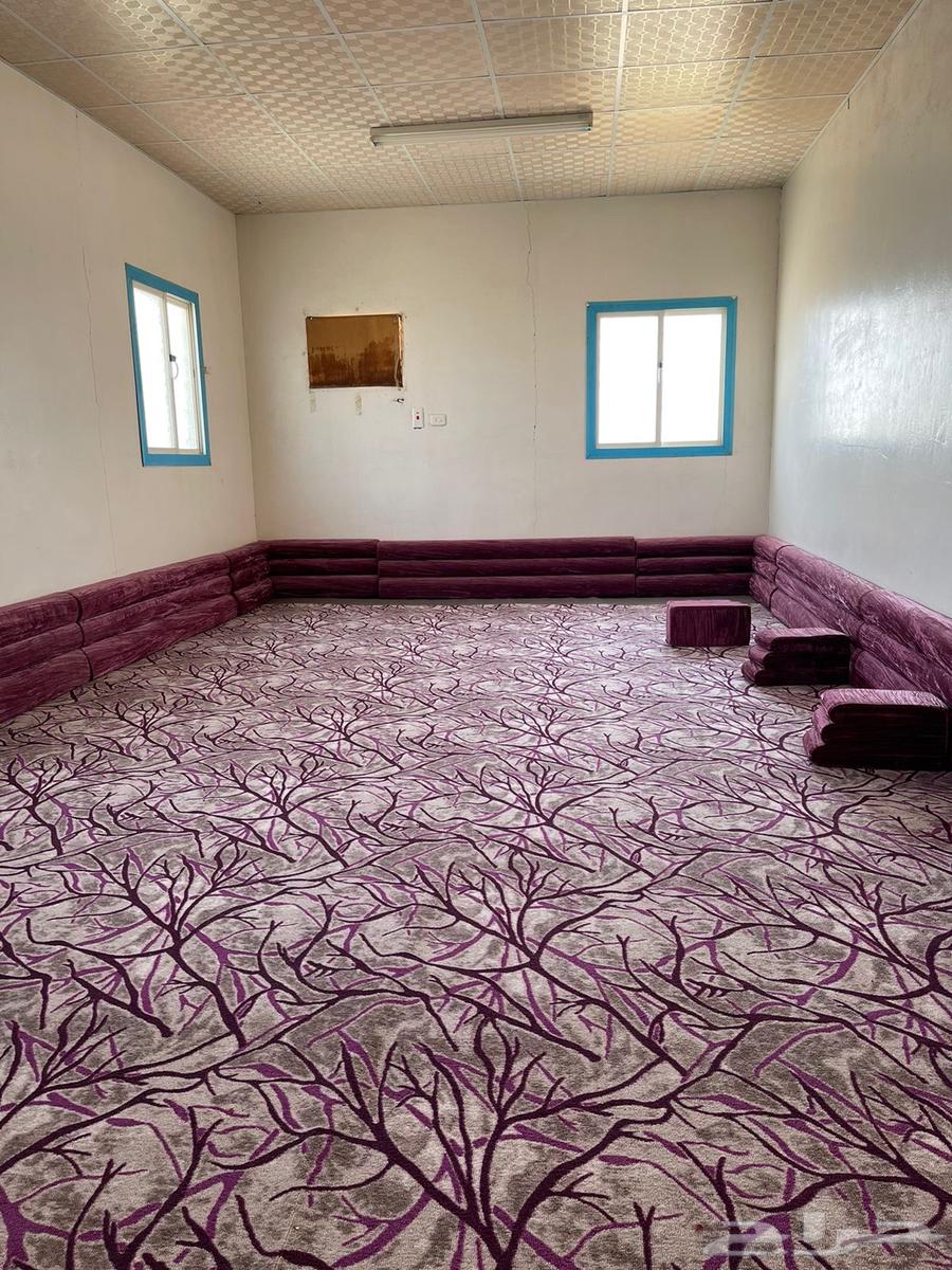 ابغى مكتب ياجربيت في قرية الحلاة مفروش64598327316738111