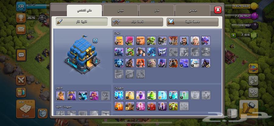 تاون هول 12 ماكس64598327292803113