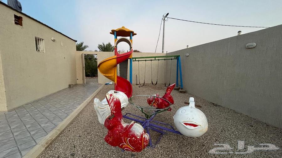 العاب للبيع64596686288002110