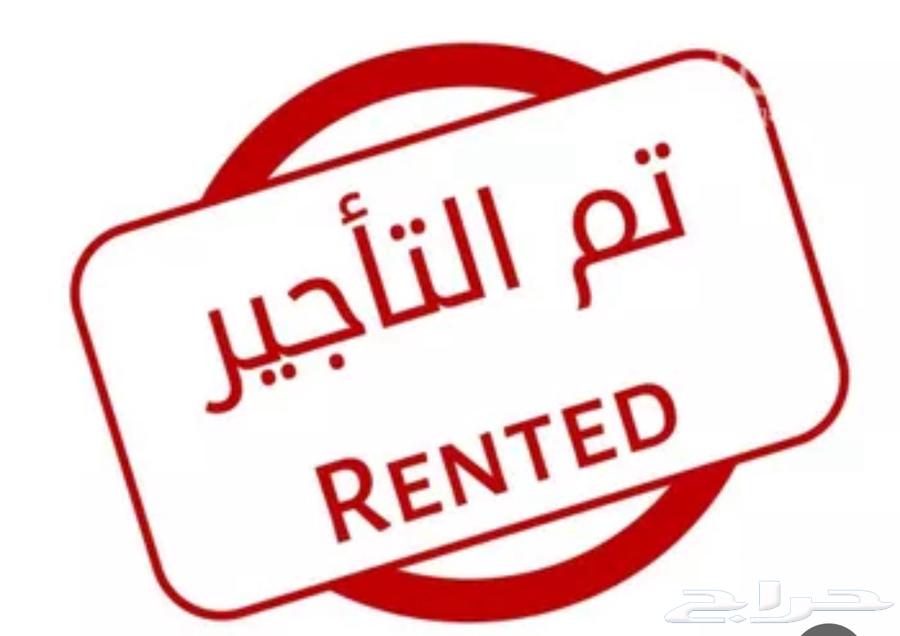 شقة للايجار حي القادسية64146503890433110