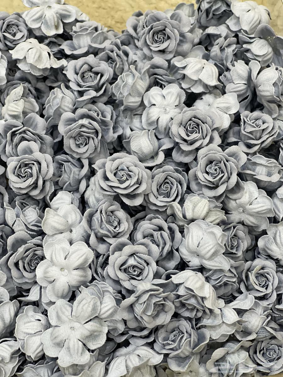 يوجد توزيعات للمولود64596710930947110