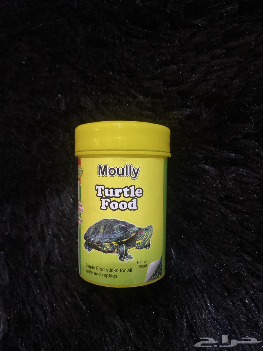 سلحفاه برمائيه مع الاكل64592793503491113