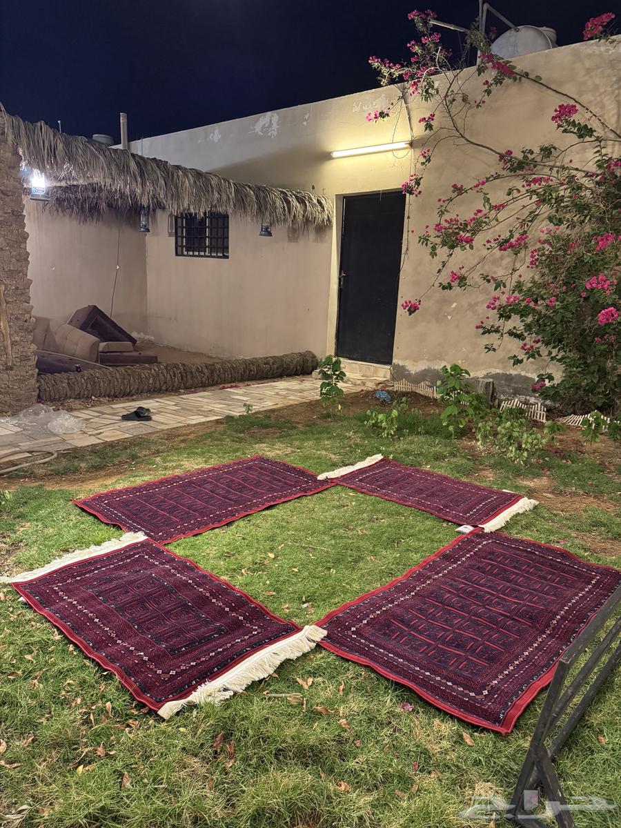 Madaat on Frashaat64597984822402112