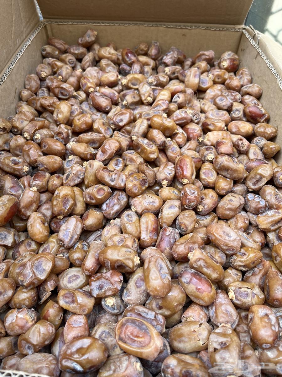 تمر إخلاص كرتون للبيع الكرتون الواحد 50 ريال64598376338306110