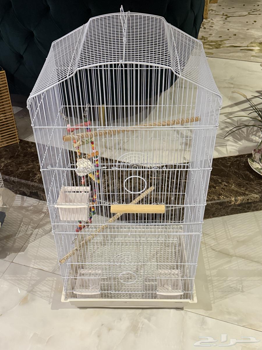 اقفاص طيور - قفص طيور ببغاء64598413391617110