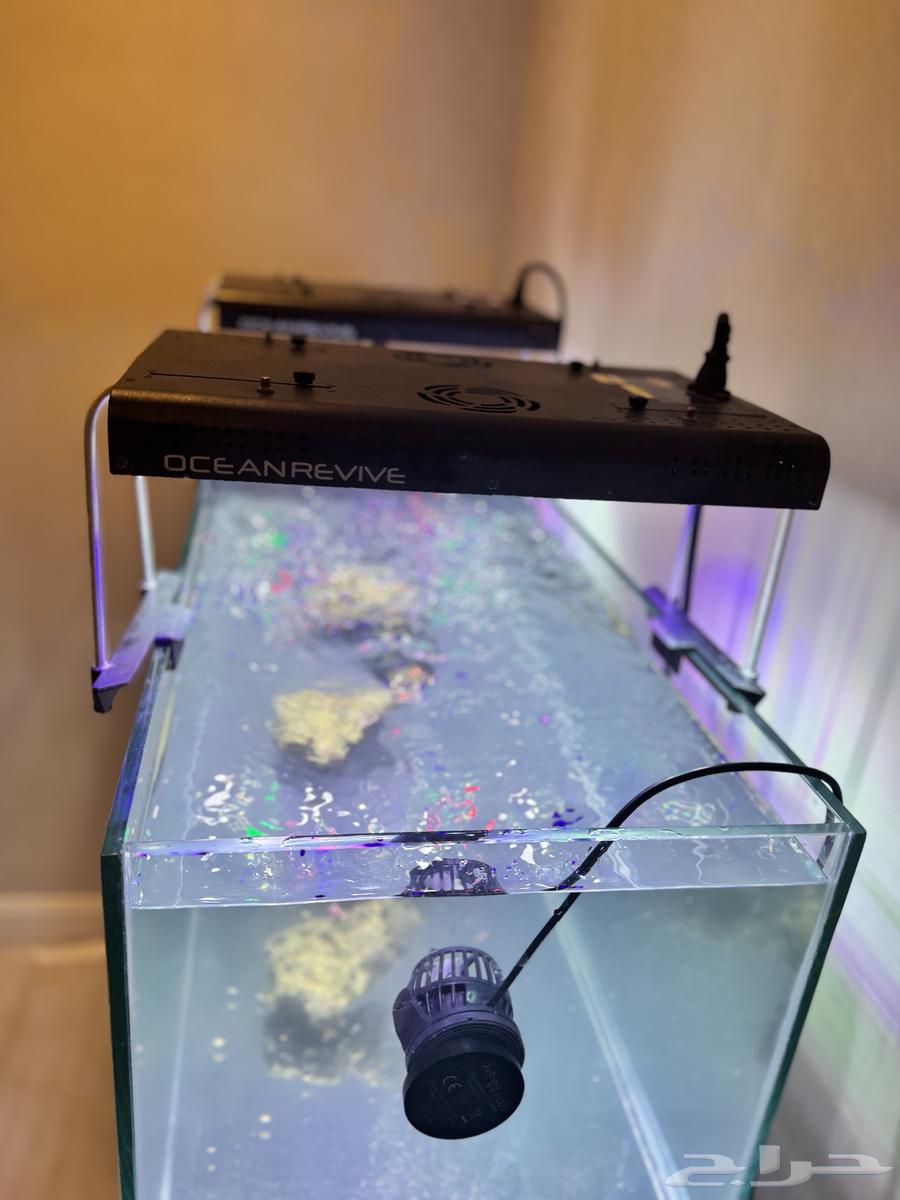 حوض سمك بأجهزته64425838005633112