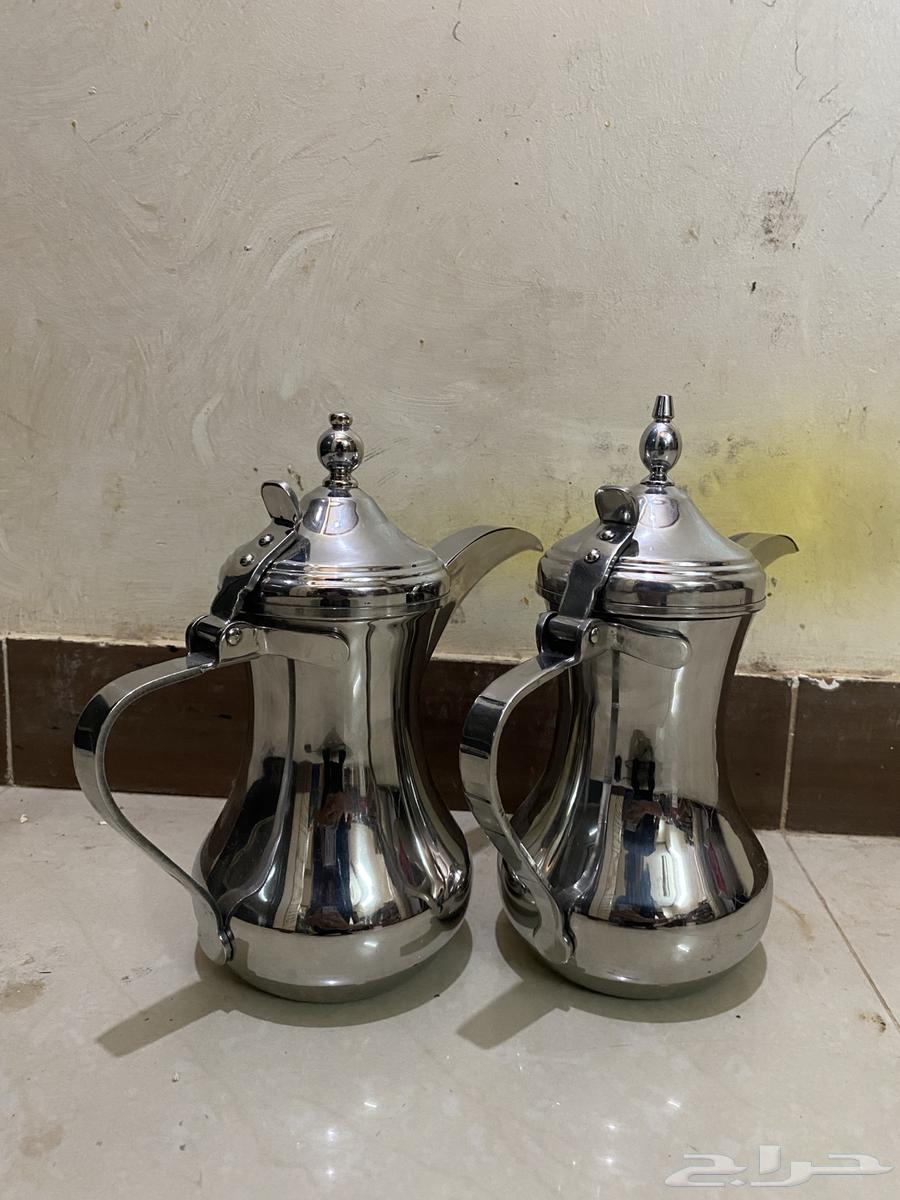 للبيع دلتين العساف كوري مقاس 48 كلهن64597728246275114