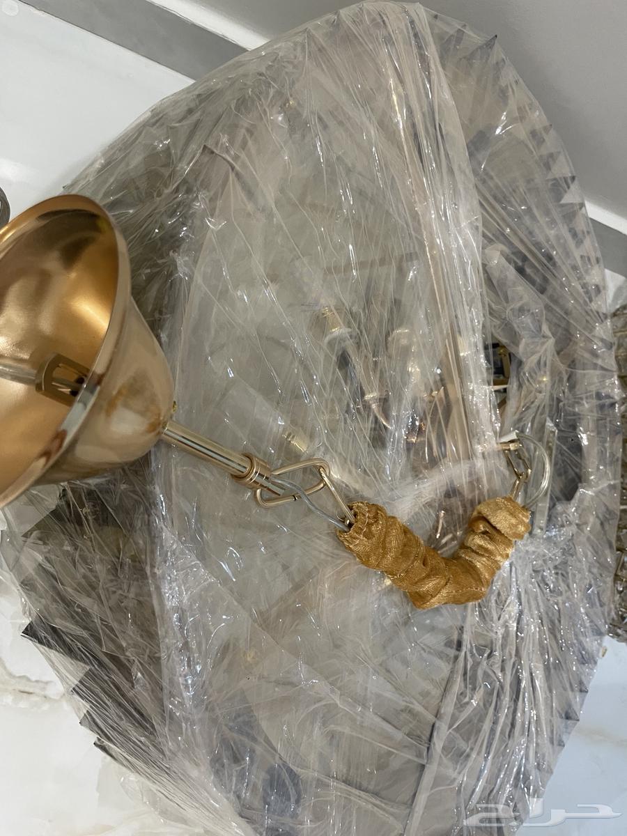 Tharwa64597592949763114