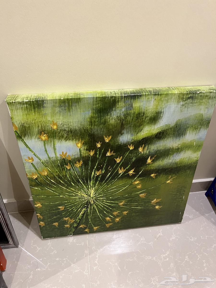 لوحات للبيع64598142441347113