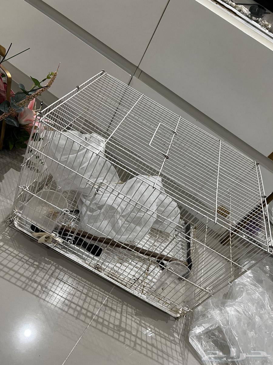 قفص طيور عدد 264596846393987110