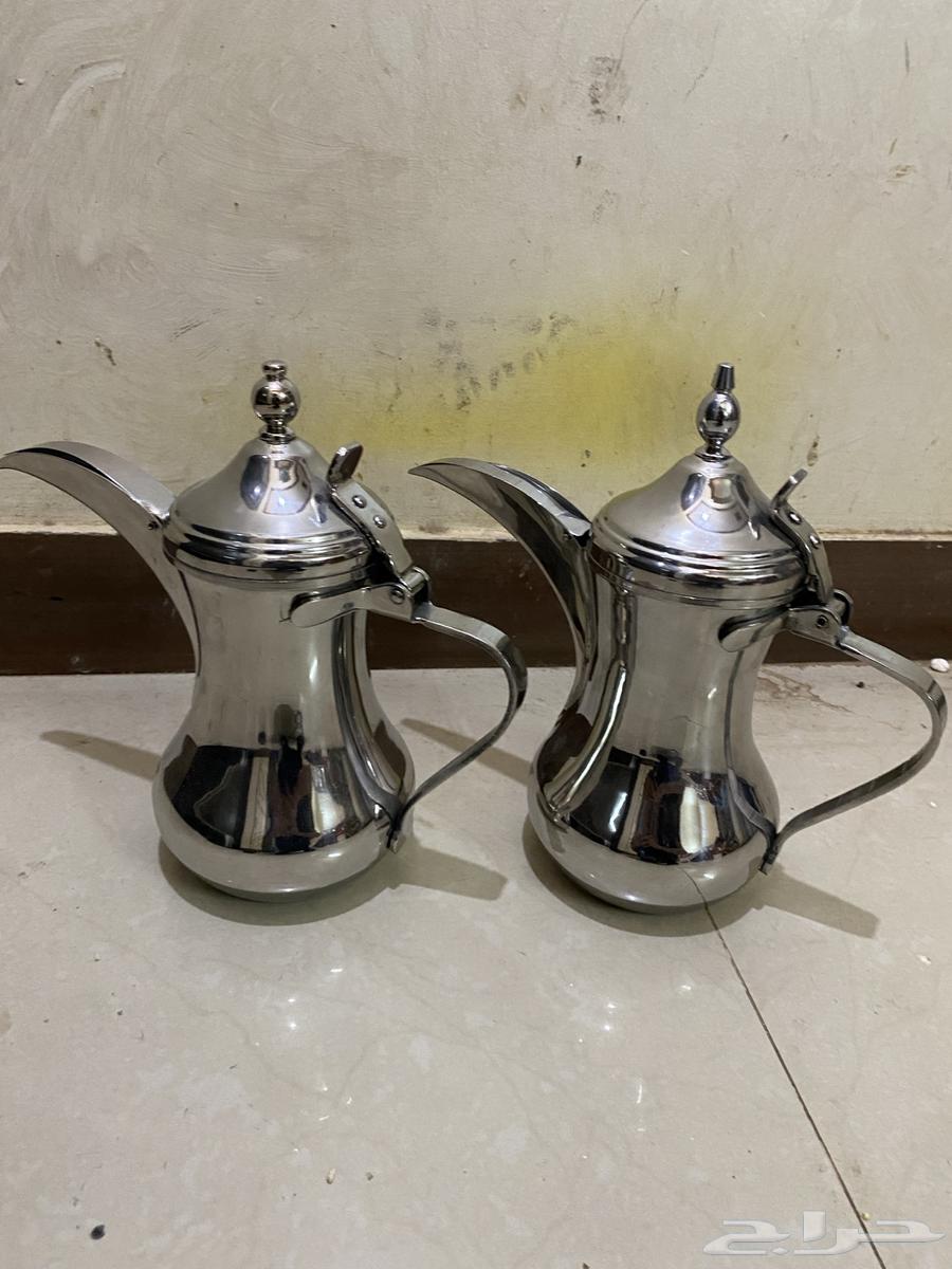 للبيع دلتين العساف كوري مقاس 48 كلهن64597728246275110