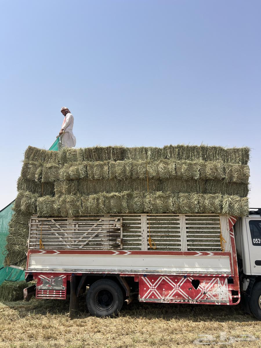 Rhodes 9064598413383427111