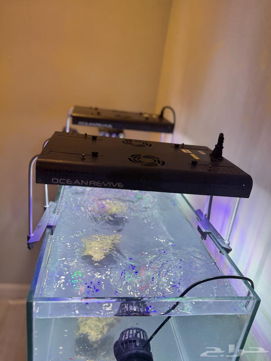 حوض سمك بأجهزته64425838005633113