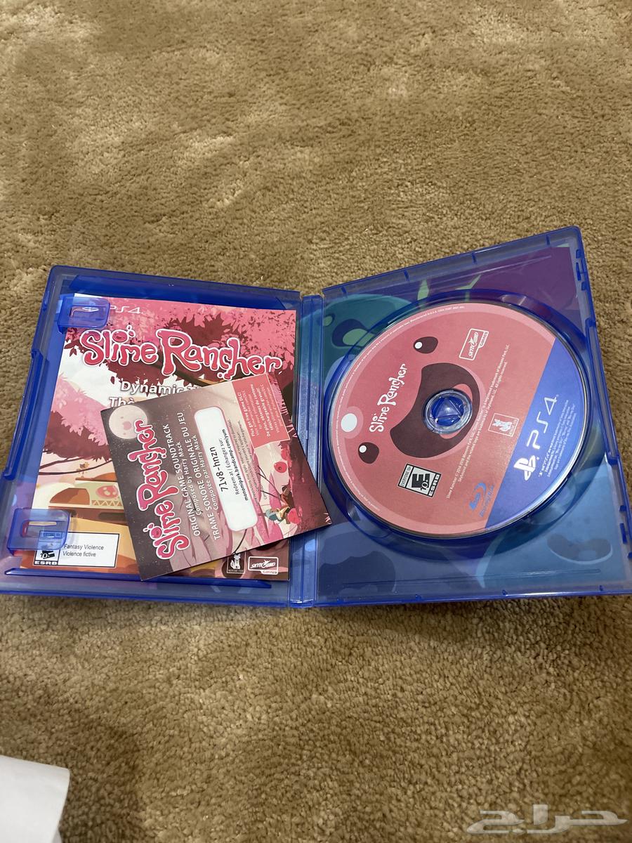 شريط للبيع64597385244931111