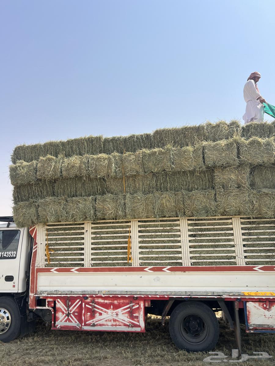 Rhodes 9064598413383427112