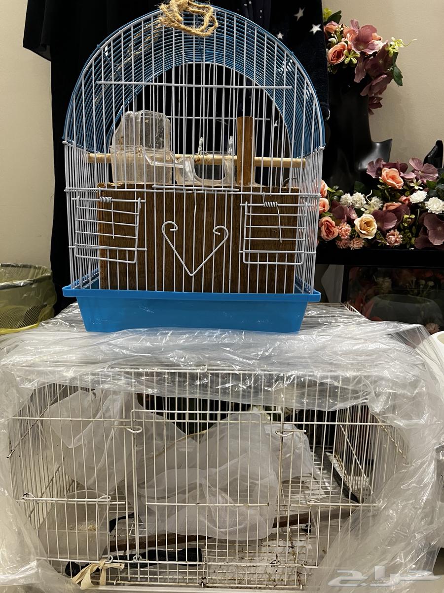 قفص طيور عدد 264596846393987111
