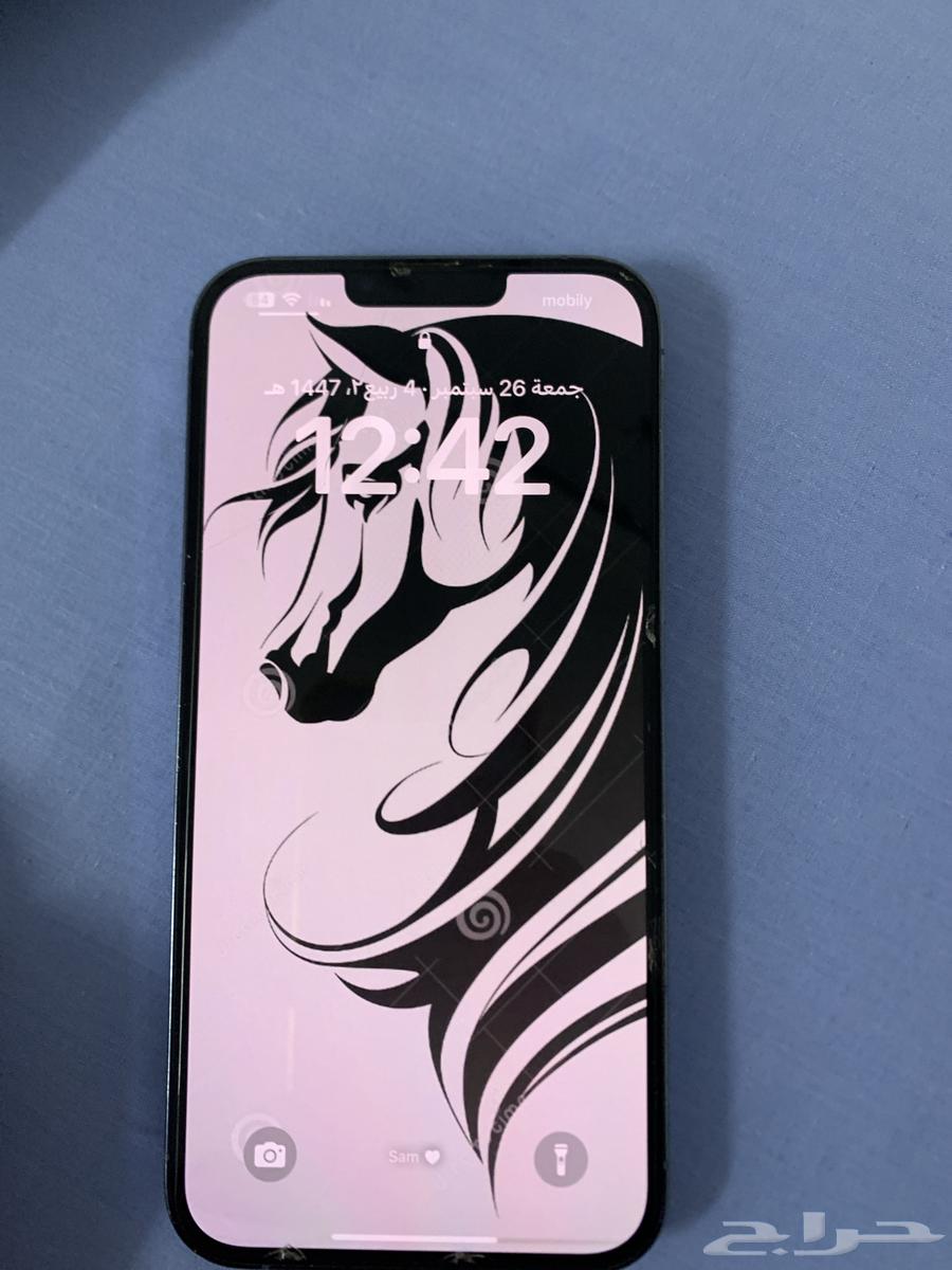 ايفون 13 بروماكس 25664596834089858111