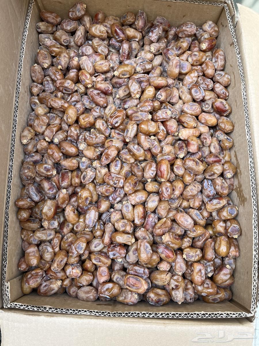 تمر إخلاص كرتون للبيع الكرتون الواحد 50 ريال64598376338306111