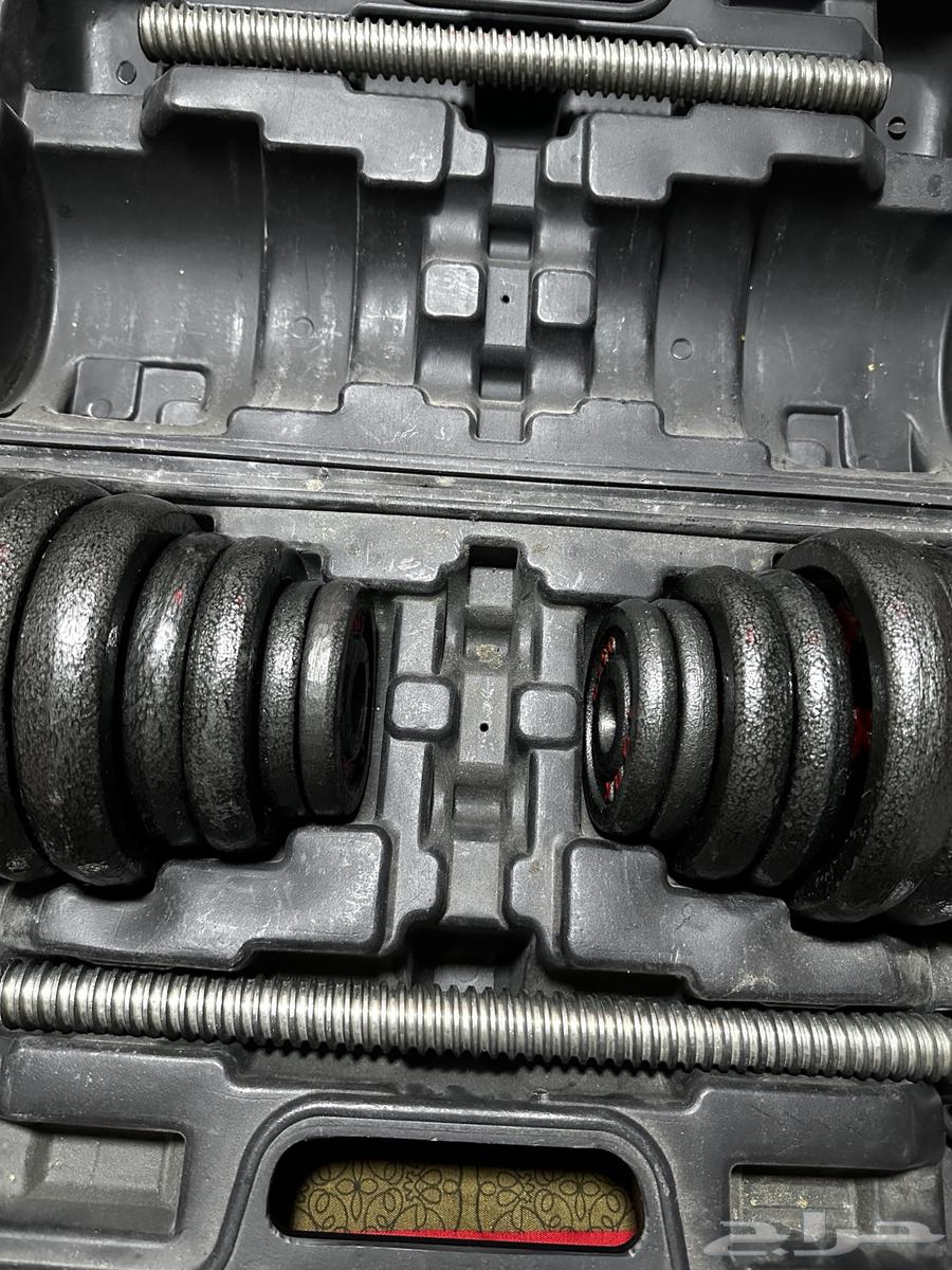 دامبل 30 كيلو64598437808002110