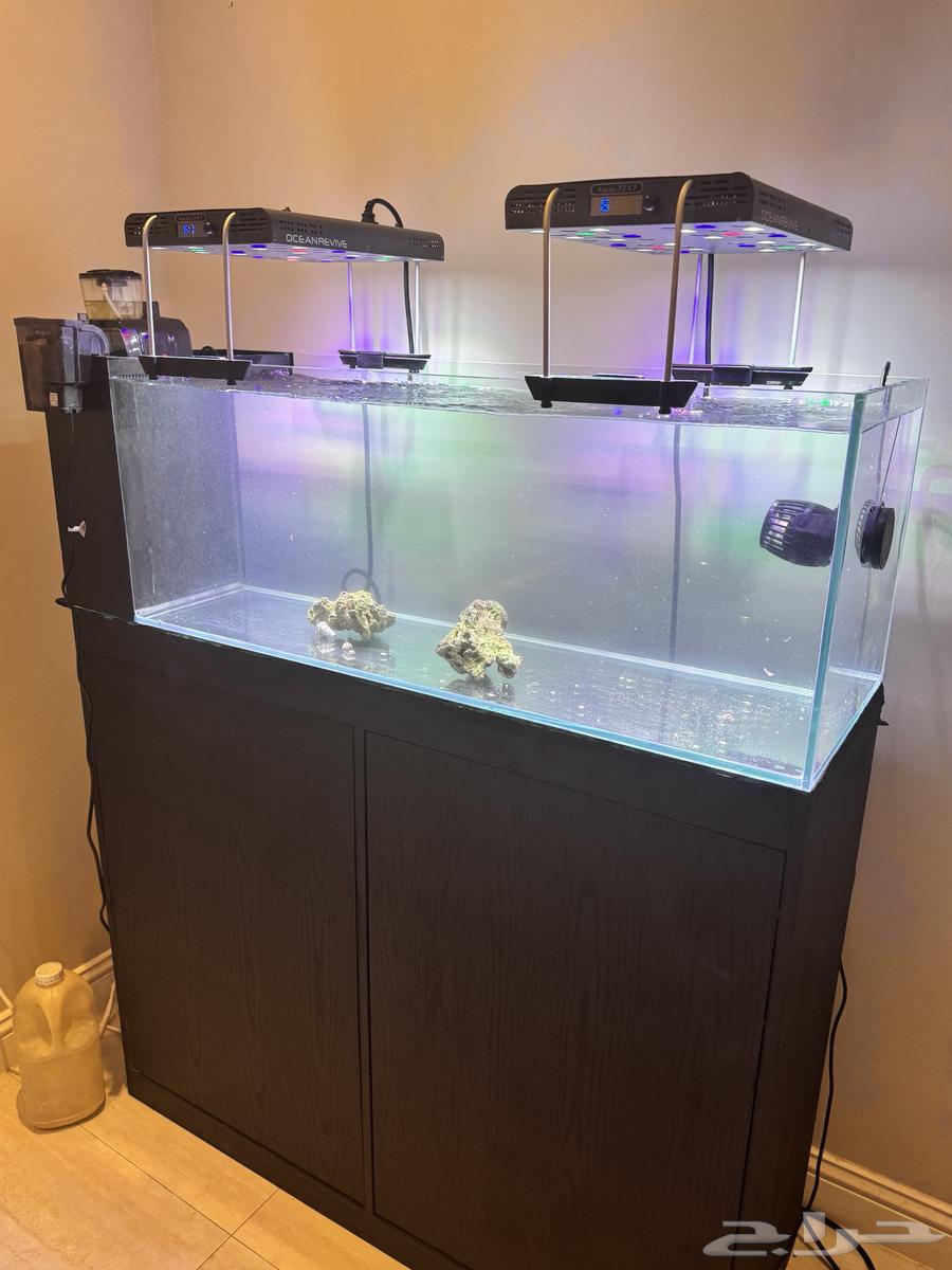 حوض سمك بأجهزته64425838005633114