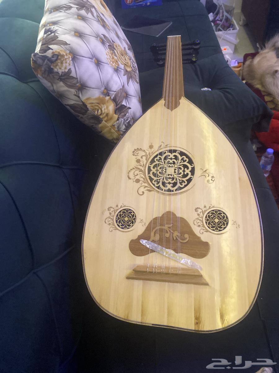عود موسيقي للبيع السعر 40064598118040065111