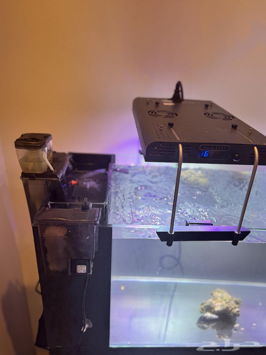 حوض سمك بأجهزته64425838005633111