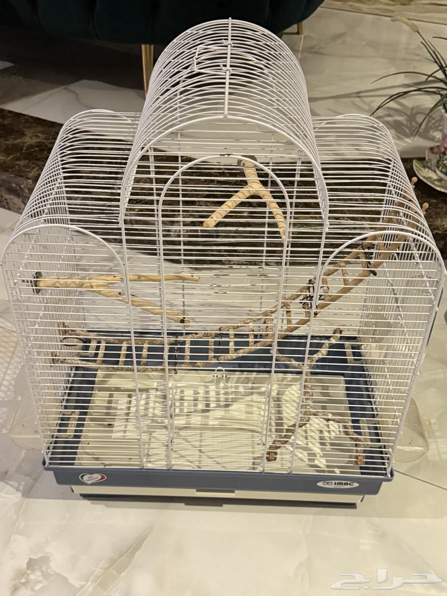 اقفاص طيور - قفص طيور ببغاء64598413391617112