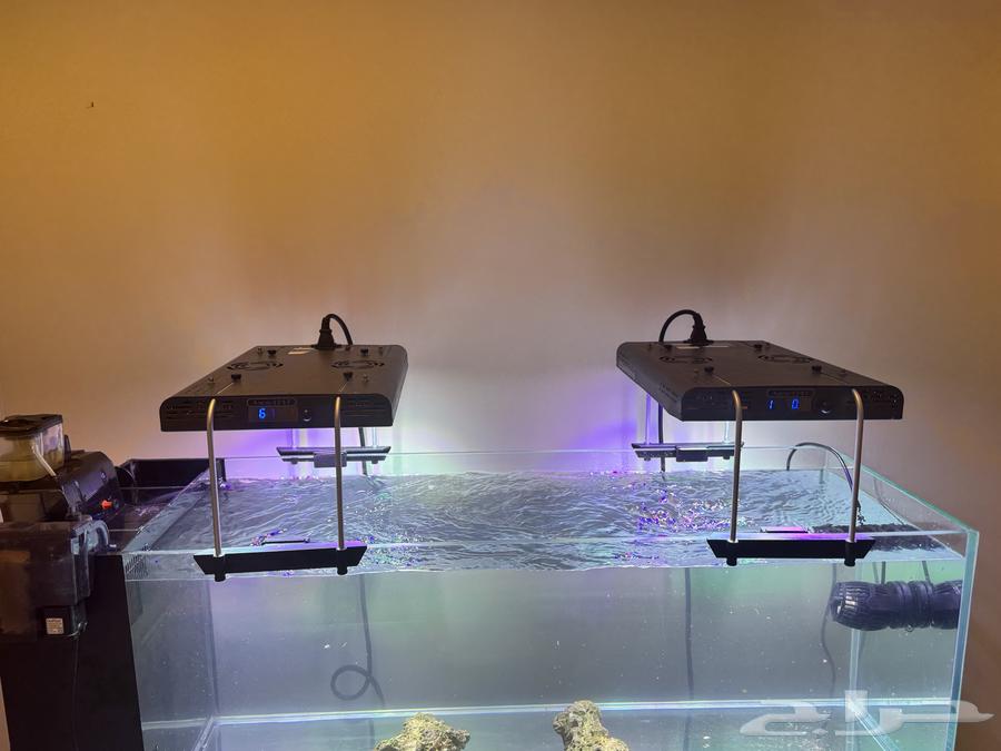 حوض سمك بأجهزته64425838005633110