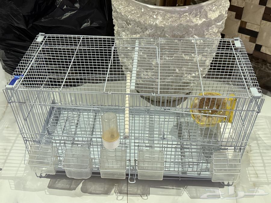 اقفاص طيور - قفص طيور ببغاء64598413391617113