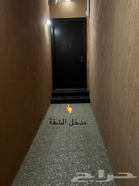 شقة مفروشة للايجار شهري وسنوي64146688989953110
