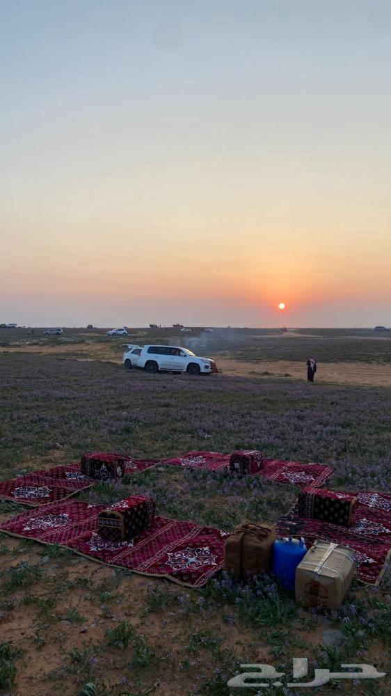 Turkish Mattresses64598045404034110