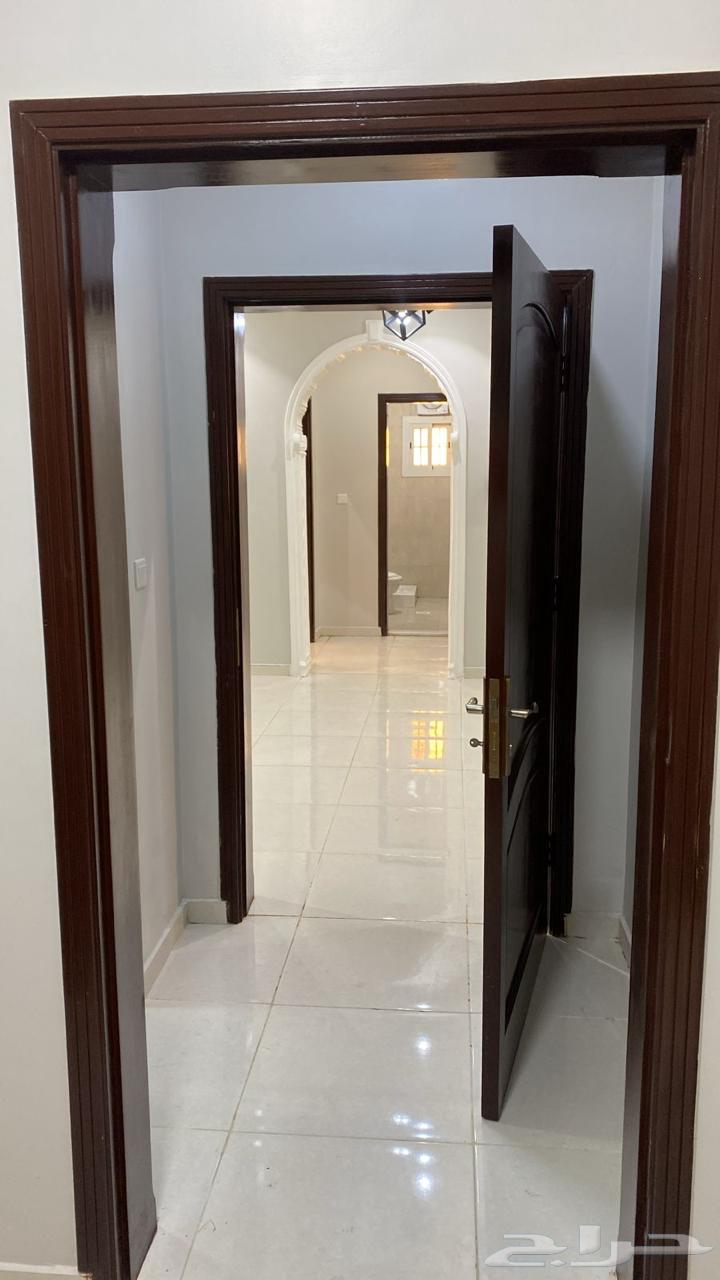 شقه للايجار بحي السامر بموقع مميز64145326678275110