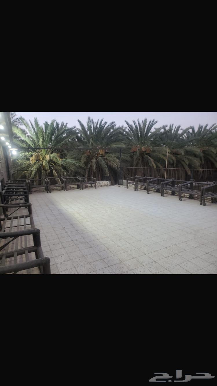 مزرعة للبيع