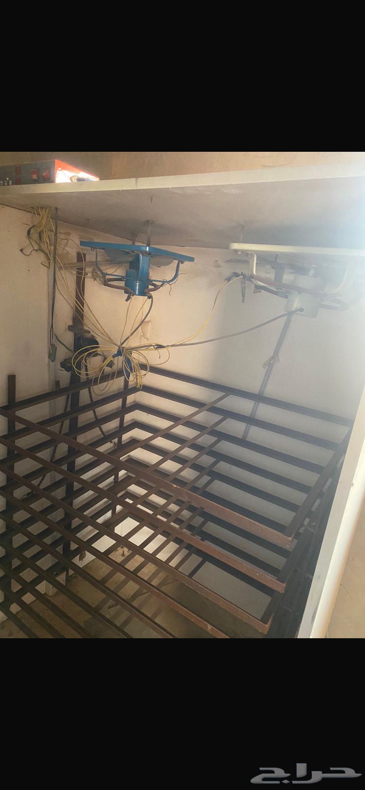 فقاسه. جديده. كامله. استخدام. شهر64598191236227111