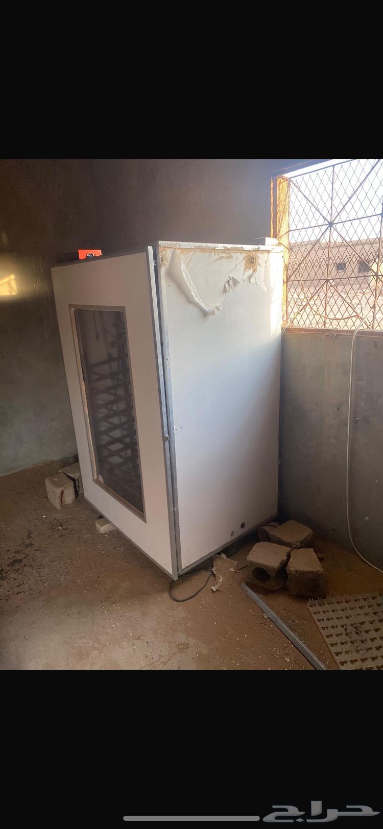 فقاسه. جديده. كامله. استخدام. شهر64598191236227112