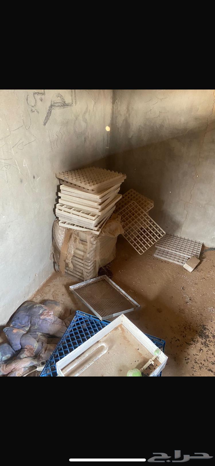 فقاسه. جديده. كامله. استخدام. شهر64598191236227113