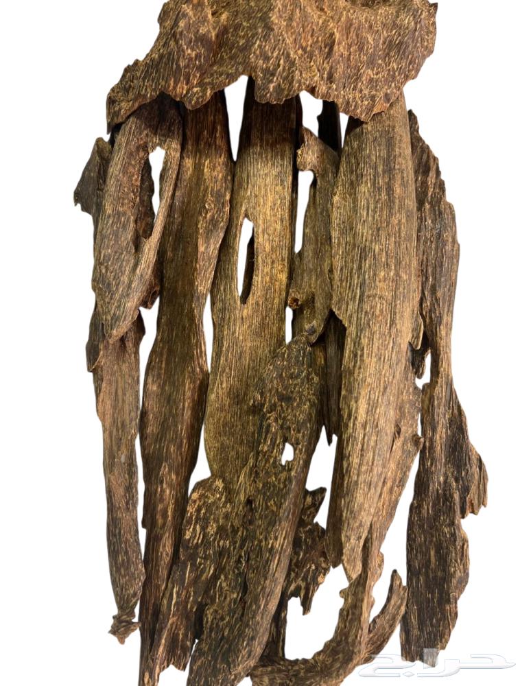 عود هندي نادر قطعه تستحق الاقتناء64597911752066110