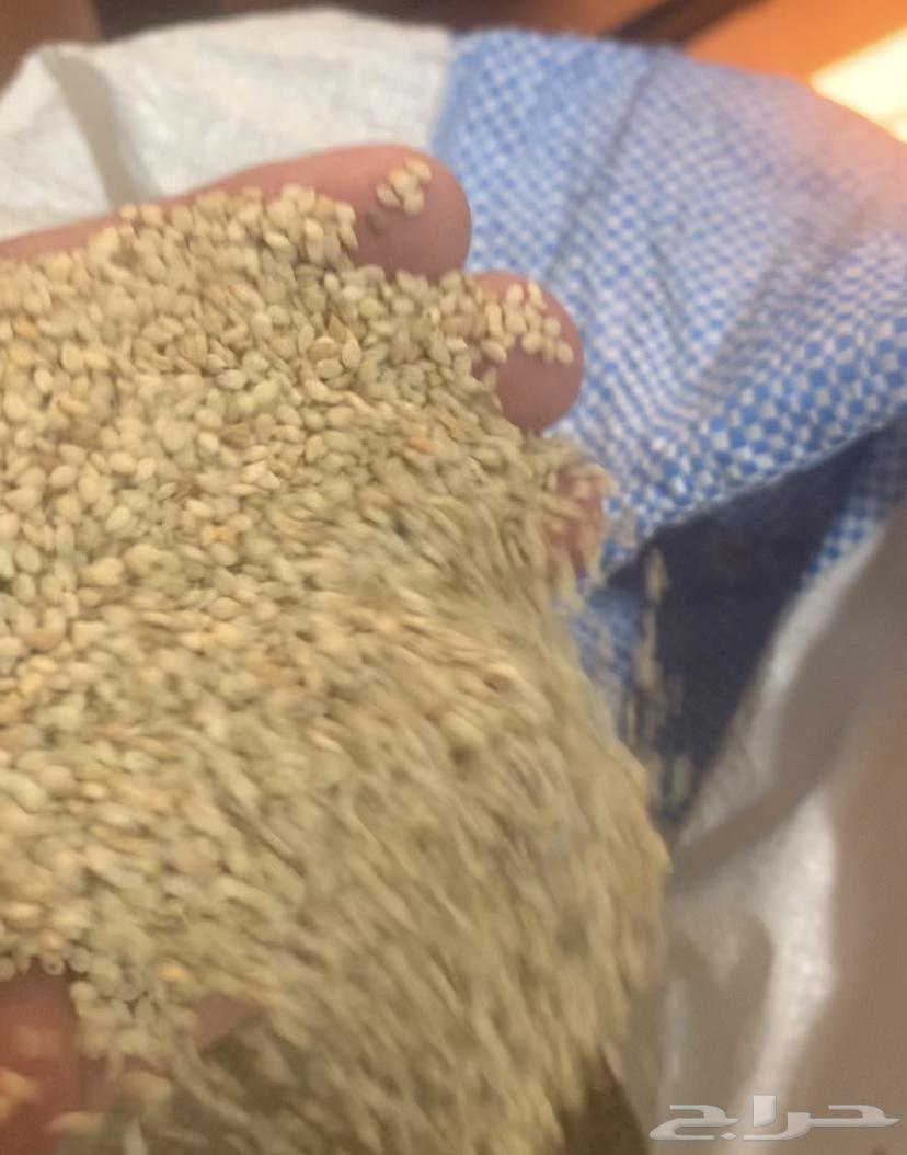 سمسم ابيض سوداني درجة اولى64598277063938111