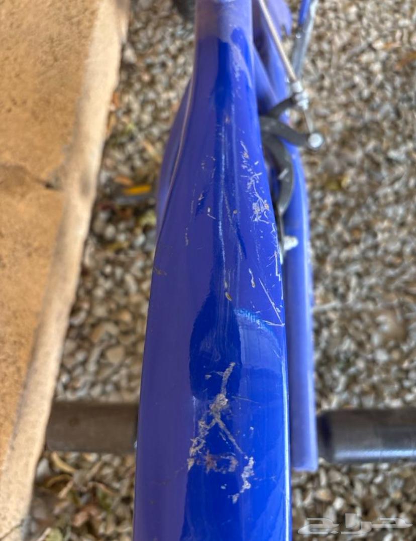 سيكل كوبرا64597102678402113