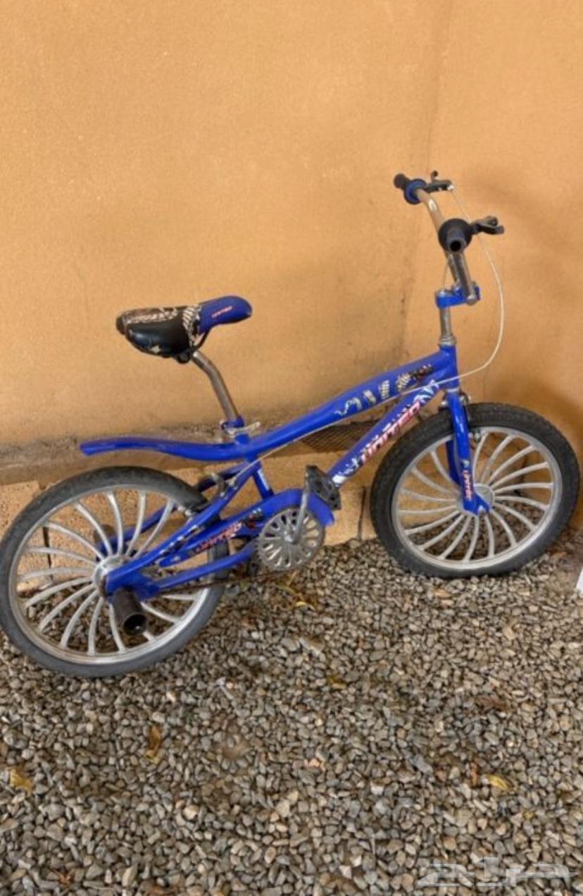 سيكل كوبرا64597102678402112