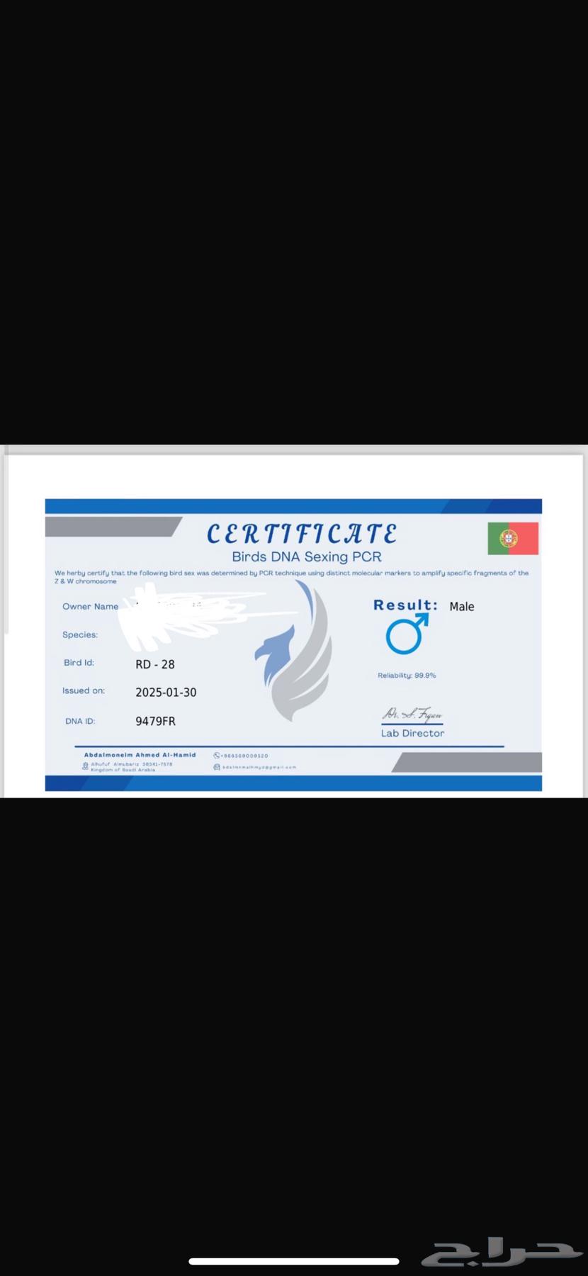 Lory Pair Reply64598523940225112