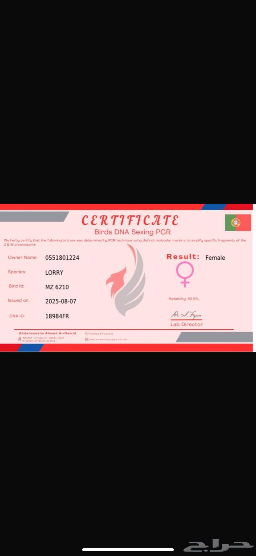 Lory Pair Reply64598523940225111