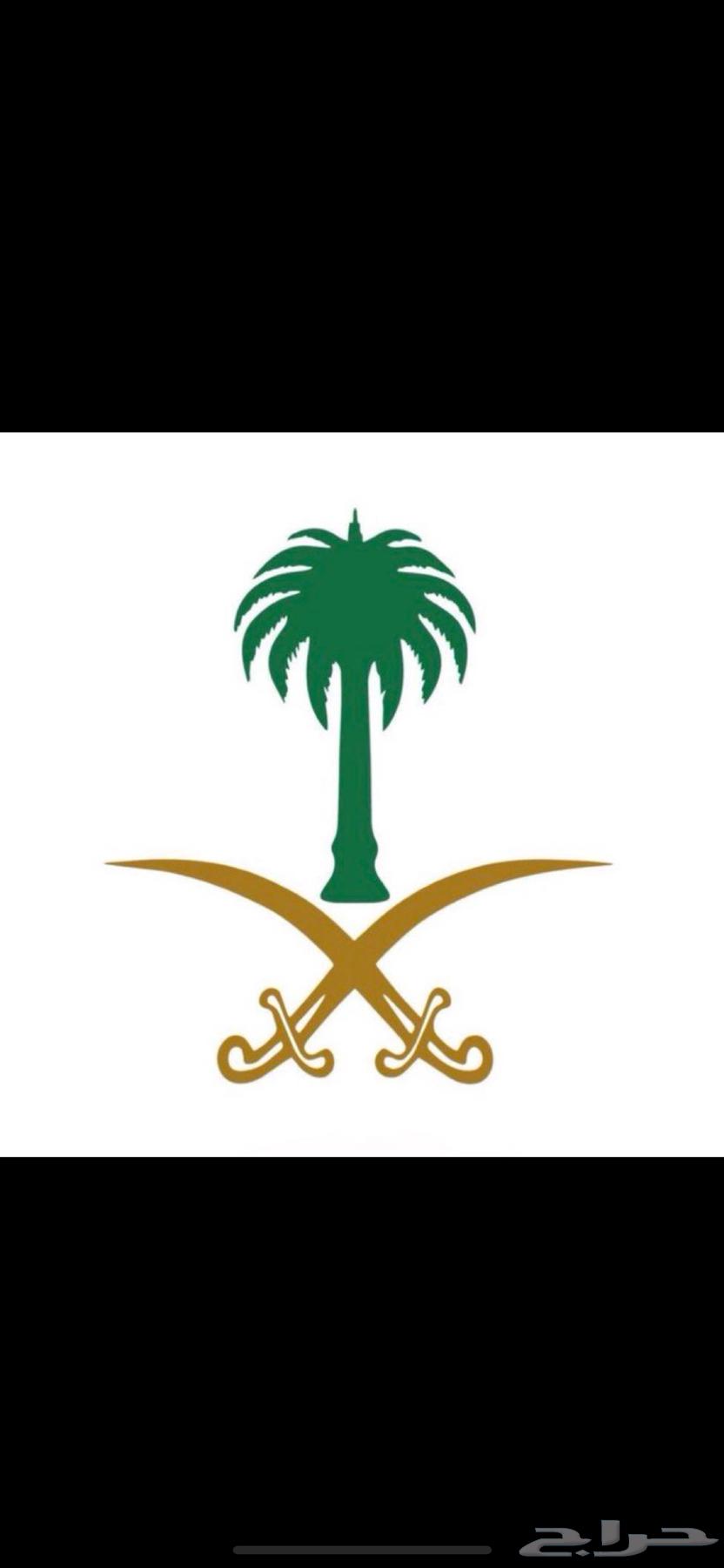 مطلوب شقة64146690196609110