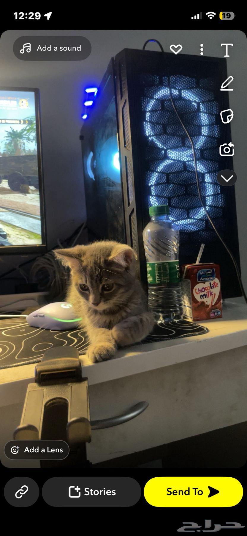 بيسي قيمنق64596858599043113