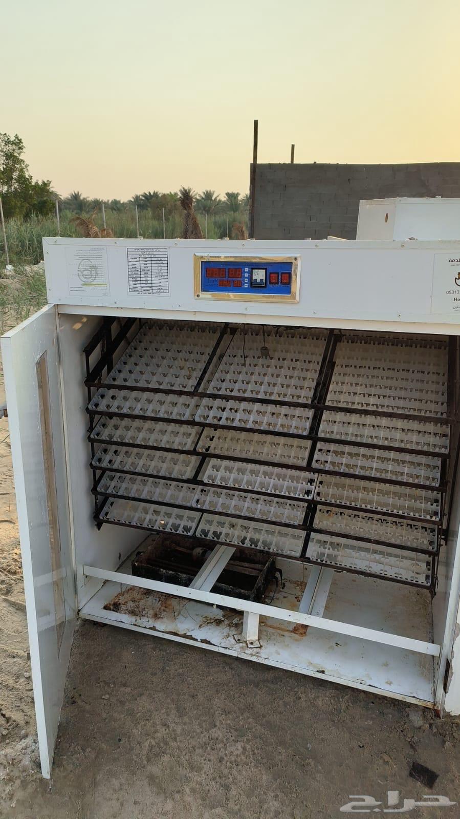 Incubator64598892755969110