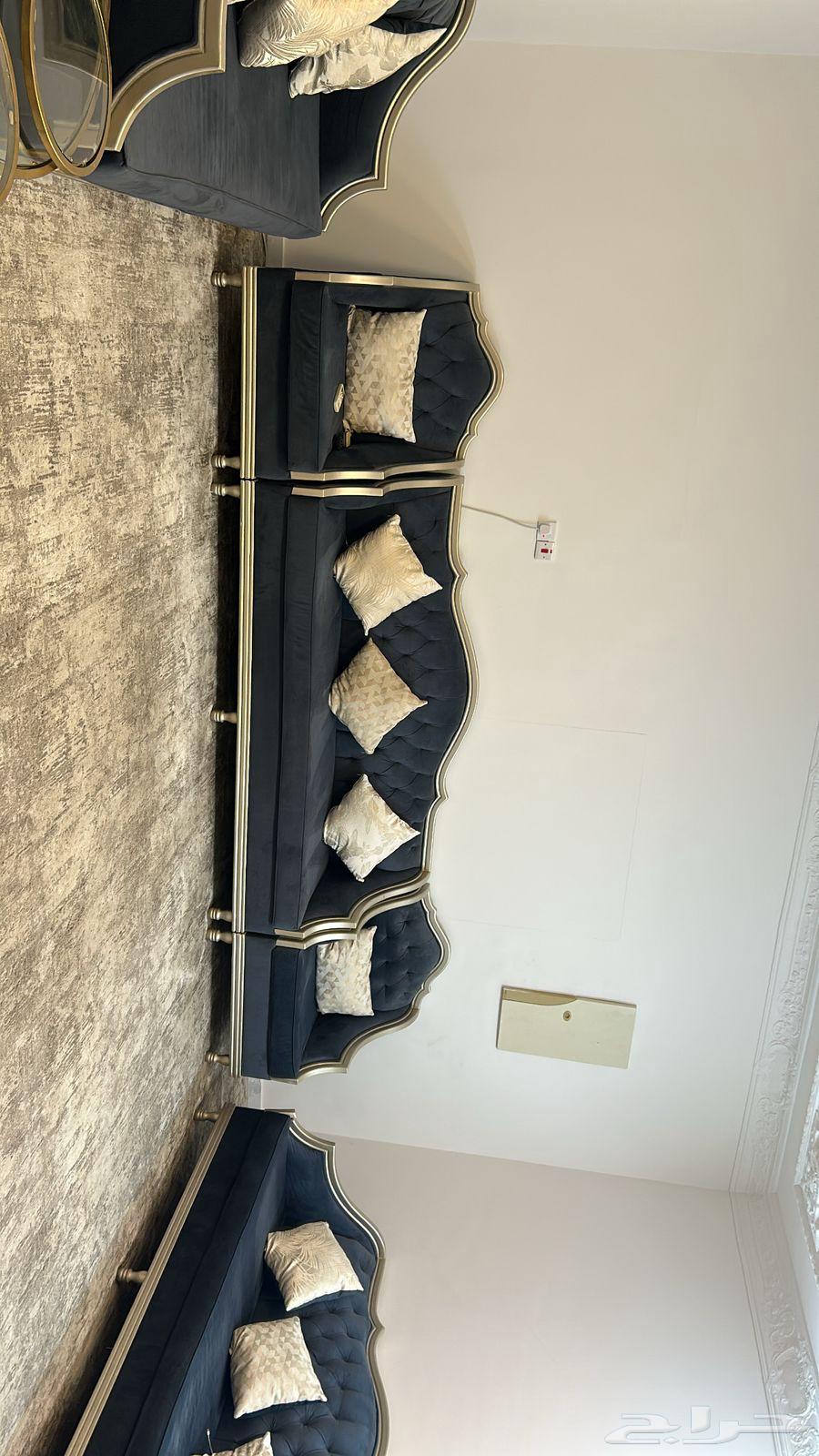 Sofa and cushion64597862993026110