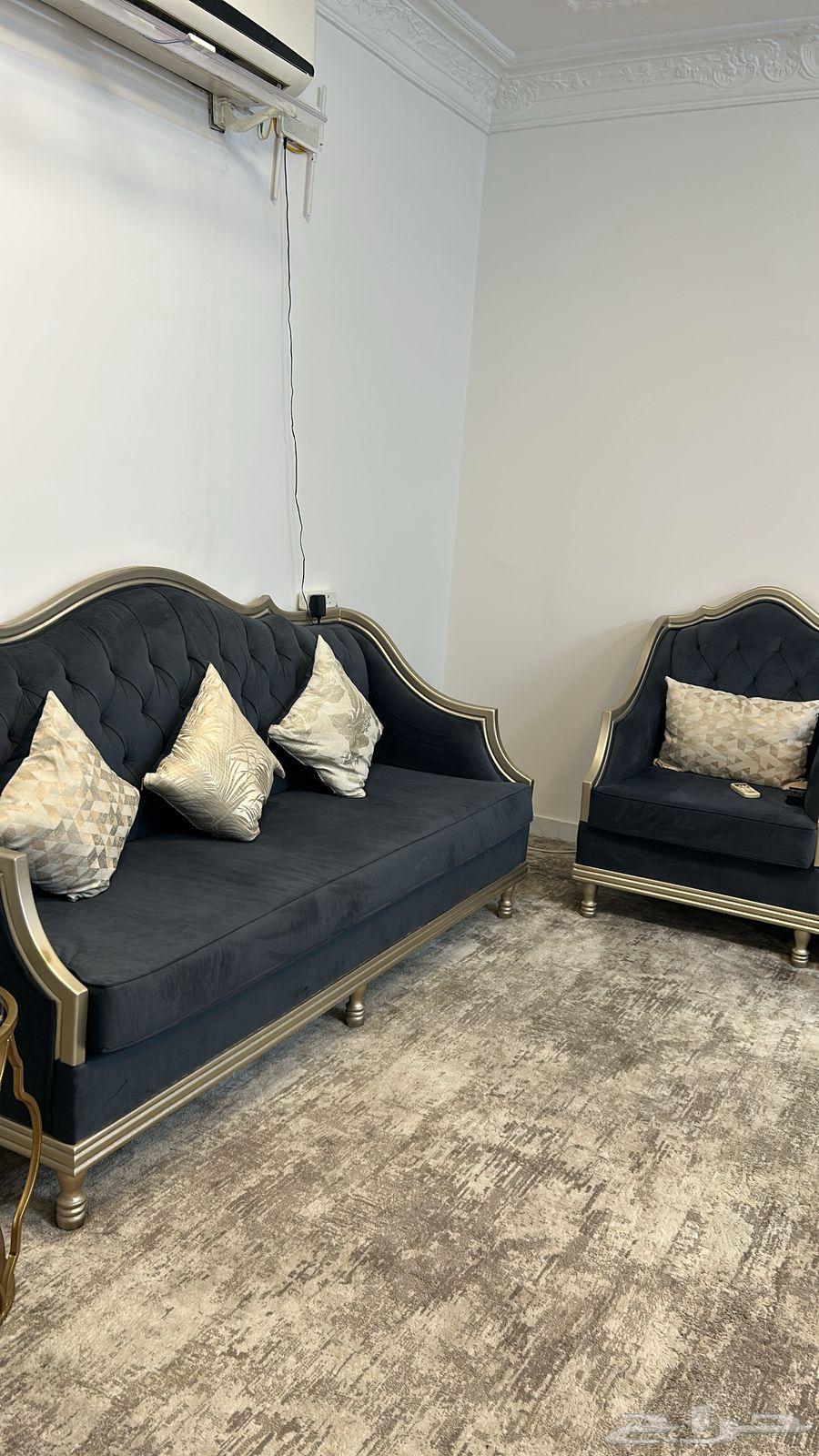 Sofa and cushion64597862993026112