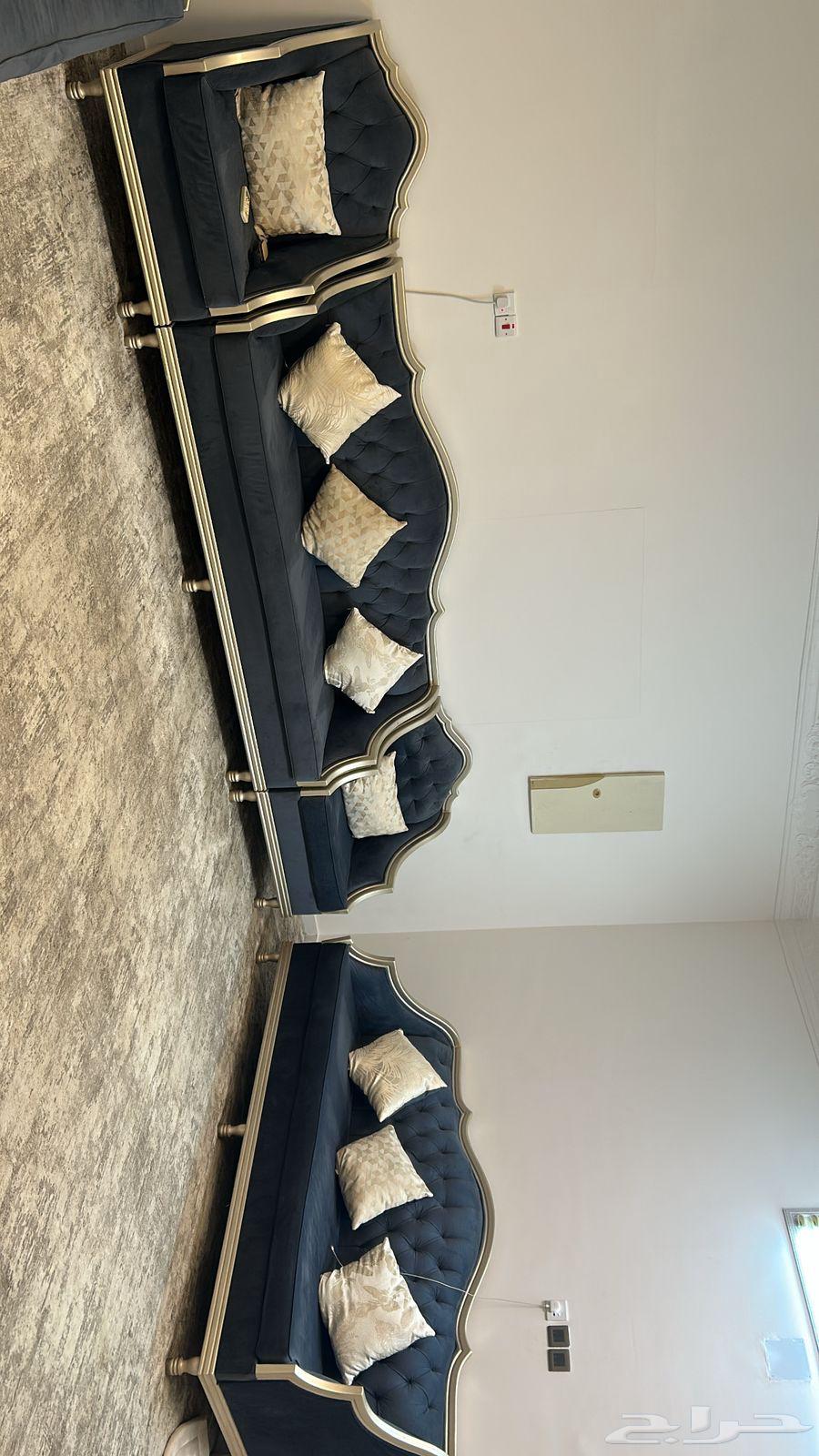 Sofa and cushion64597862993026111