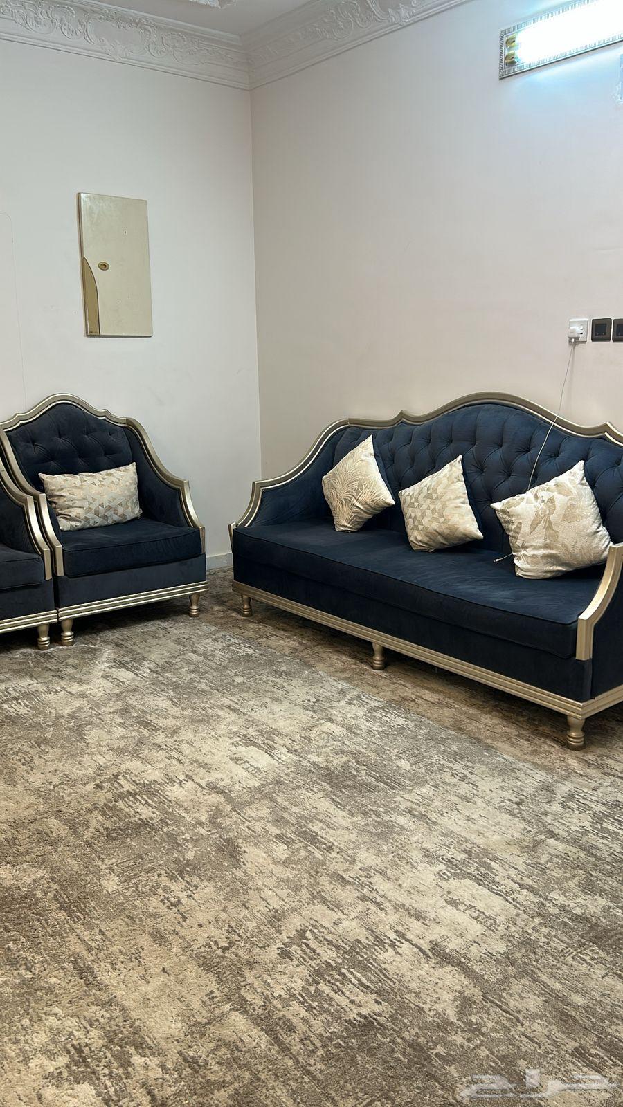 Sofa and cushion64597862993026113